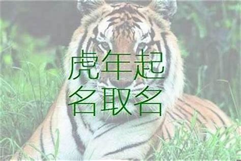 虎寶寶取名禁忌|生肖虎取名宜忌：打造一生旺運好名字